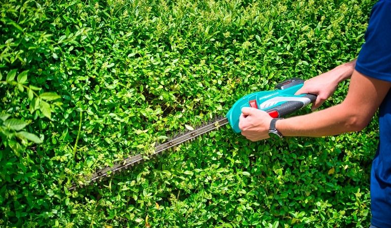 most powerful cordless hedge trimmer cutting