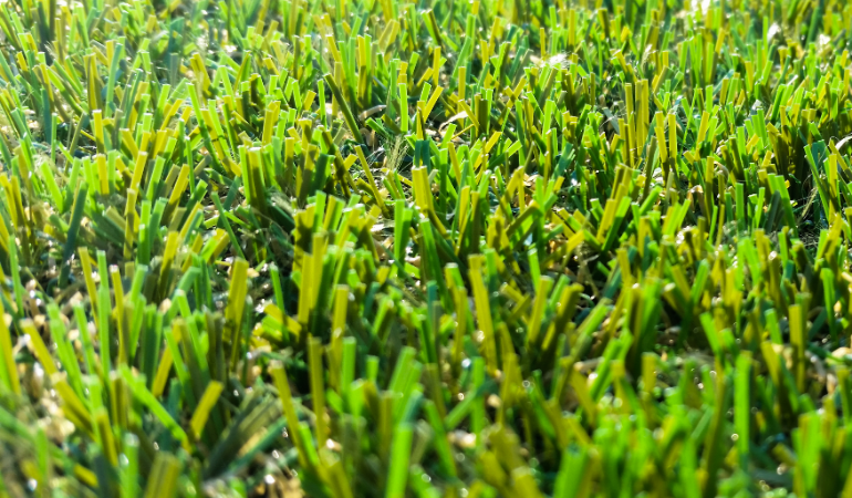 Best Artificial Grass buys