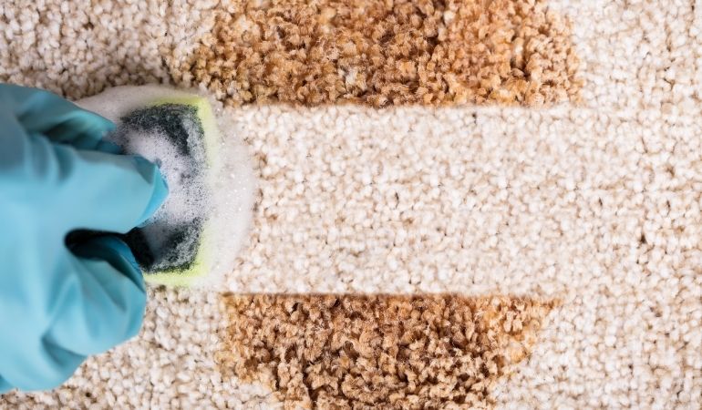 cleaning carpet by hand without machine