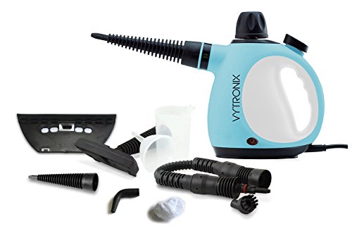 best value portable steam cleaner